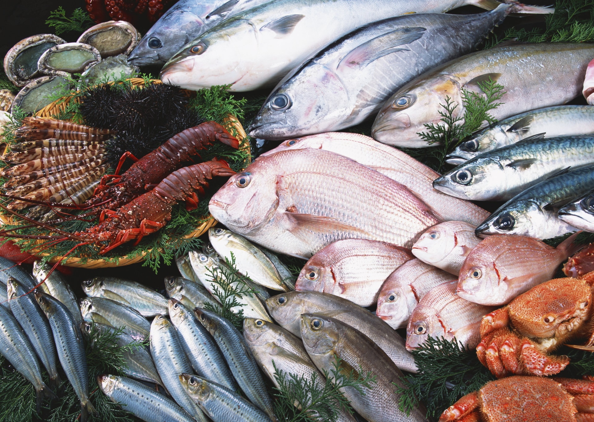 Seafood